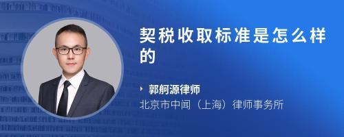 定州律师事务所