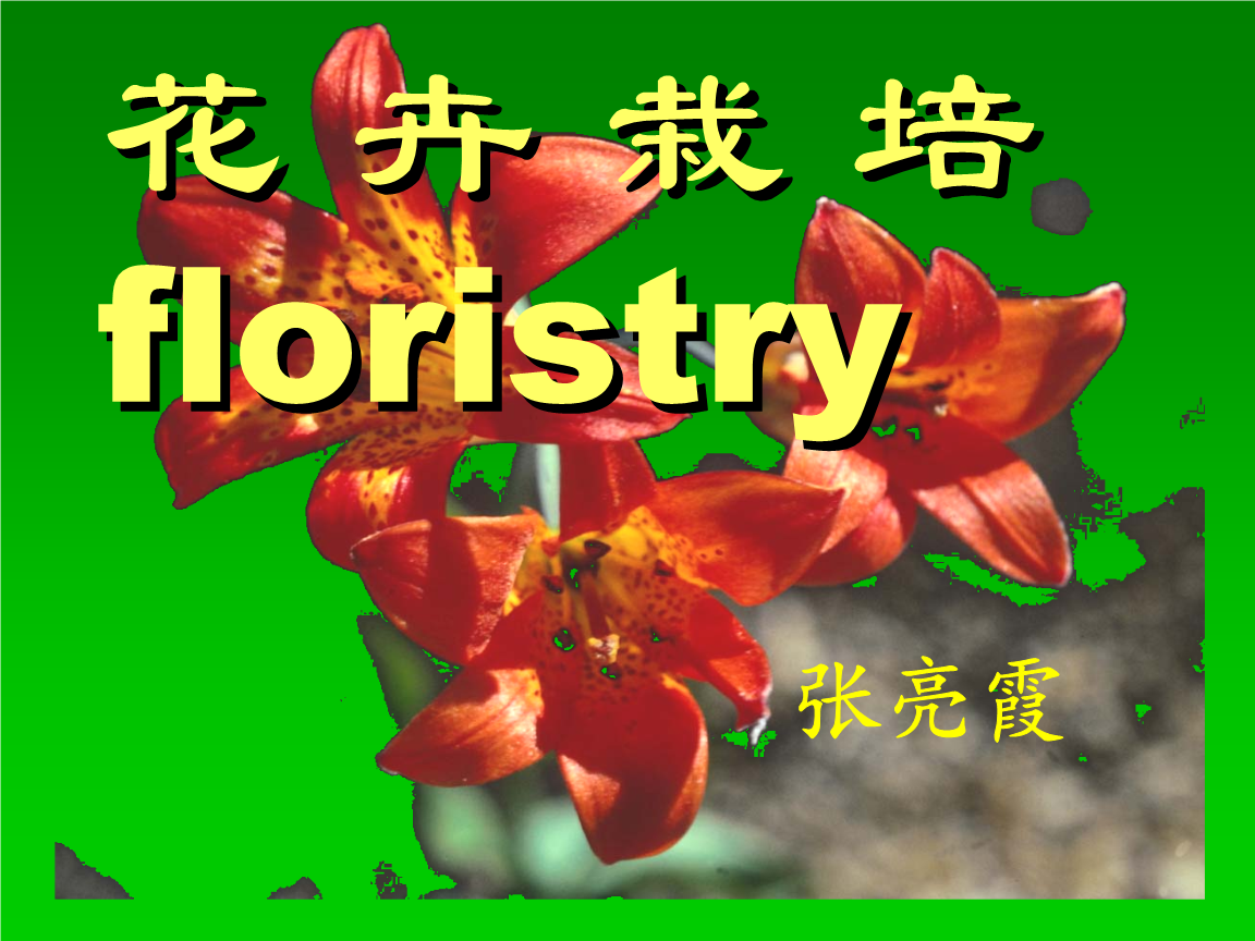 floristry音标