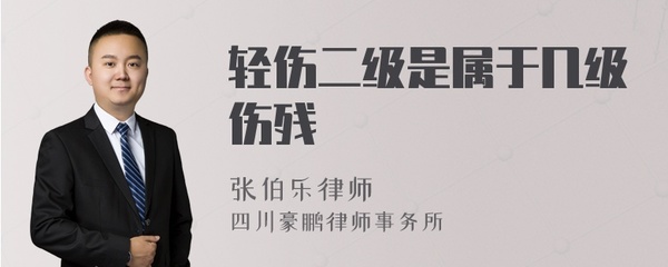 轻伤二级属于几级伤残