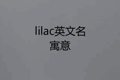 lilac英文名