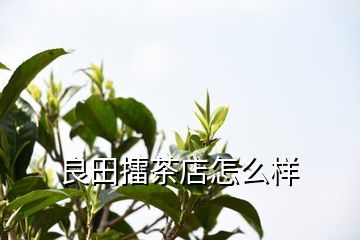 孕妇可以喝擂茶吗
