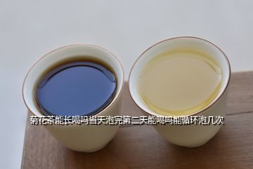 新茶泡多少次