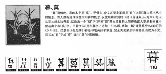 目五行属什么