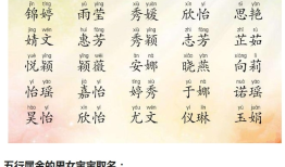 芷五行属性是什么