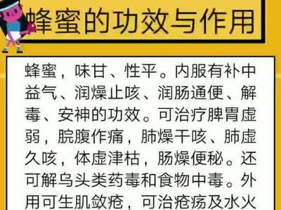 脾胃虚的表现和症状怎么治疗