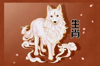 属狗的财运方向