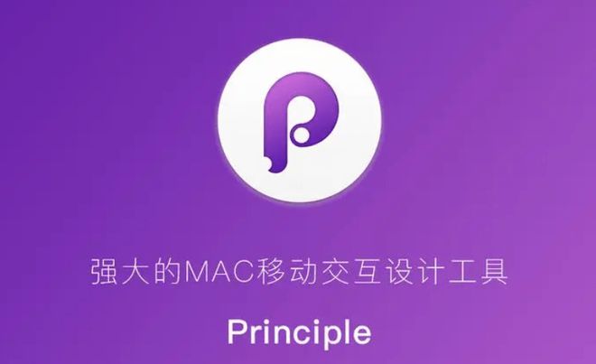 principle汉化插件