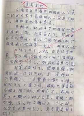 我最想我的妈妈500字作文怎么写