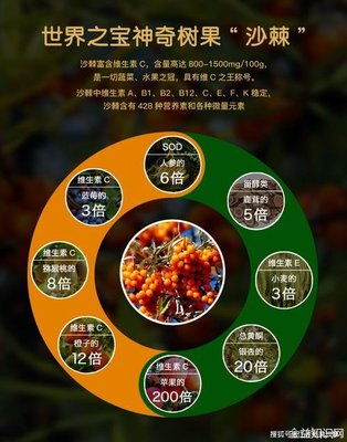 沙棘汁的功效与作用及食用方法