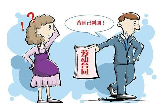 有关教师的法律