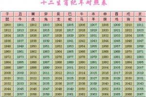 怎样查自己的生辰八字