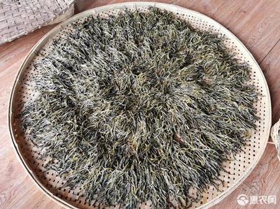 班章古树普洱茶价格
