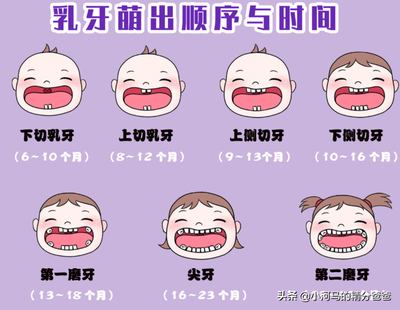 宝宝乳牙什么时候长齐