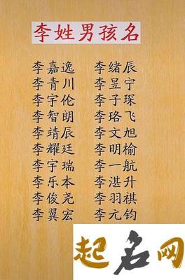好听简单的李姓名字