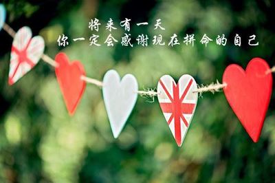 关于鼬的网名