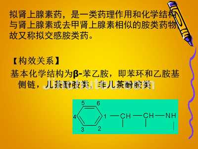 胆碱的功效与作用