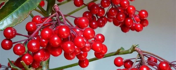 橱柜在保洁前还是后