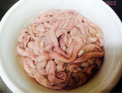 猪小肠的做法大全家常做法