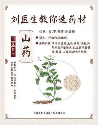 百合茯苓片有什么功效