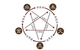 姓名五行解析