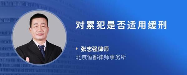 累犯是否适用缓刑