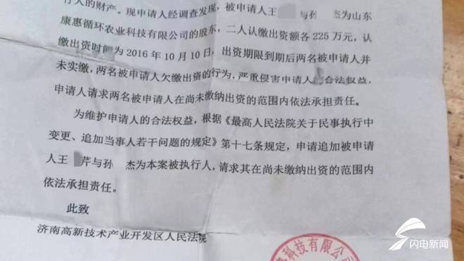 追加被执行人申请书