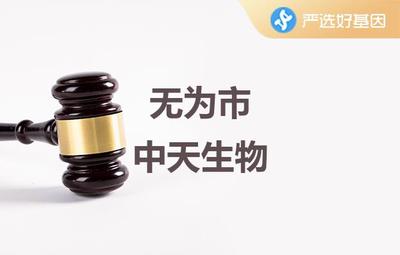 芜湖亲子鉴定