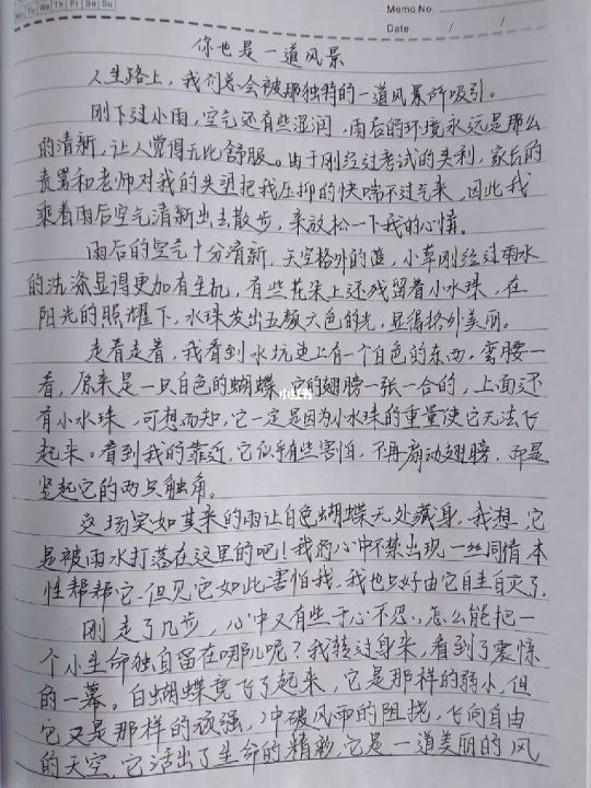 捡垃圾也是风景作文怎么写