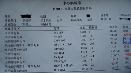 北京弓形虫检查费用多少