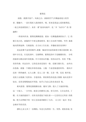紫荆花作文500字