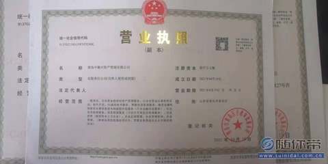 营业执照抵押