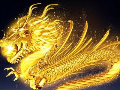 属龙星座