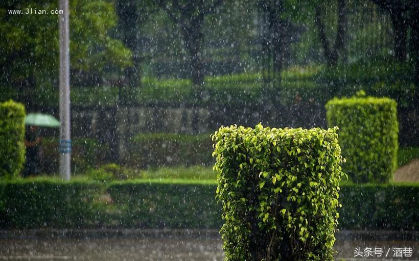 女人梦见大雨淋湿自己