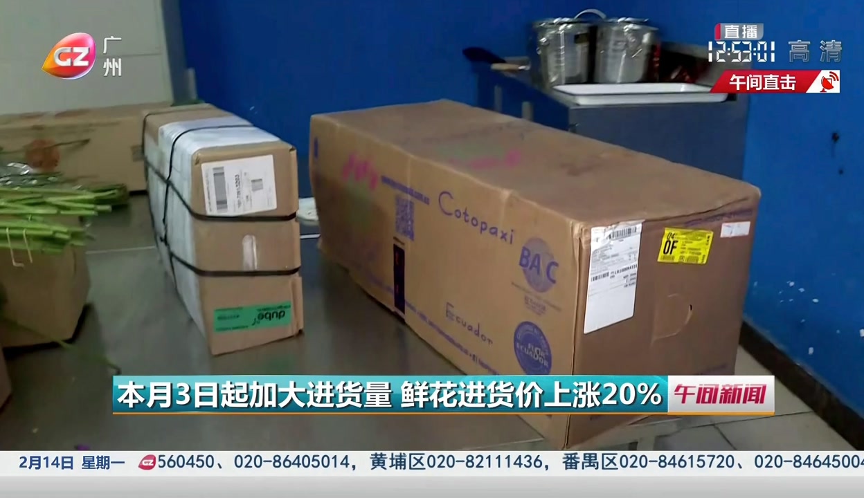 前位子宫和后位子宫的区别