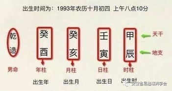 93年出生的人是什么命