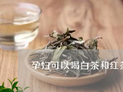 怀孕能喝白茶吗