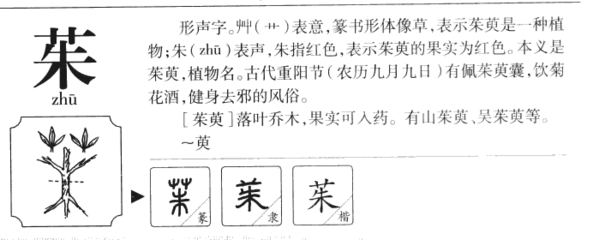 朱字属于五行属什么