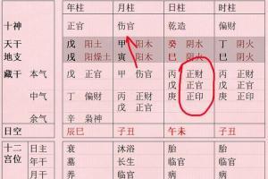 十神看婚姻