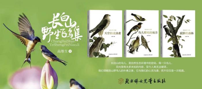 性格安静的人的特点