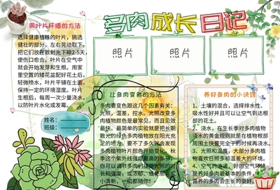 关于发现植物的日记怎么写
