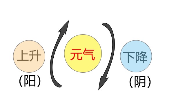 五行的阴阳怎么分