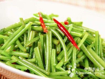木耳菌包制作方法