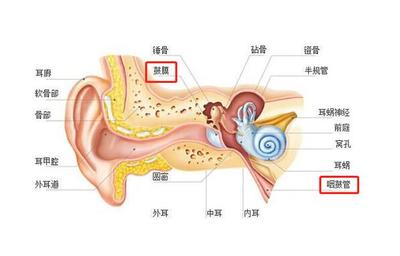 耳朵疼是怎么回事