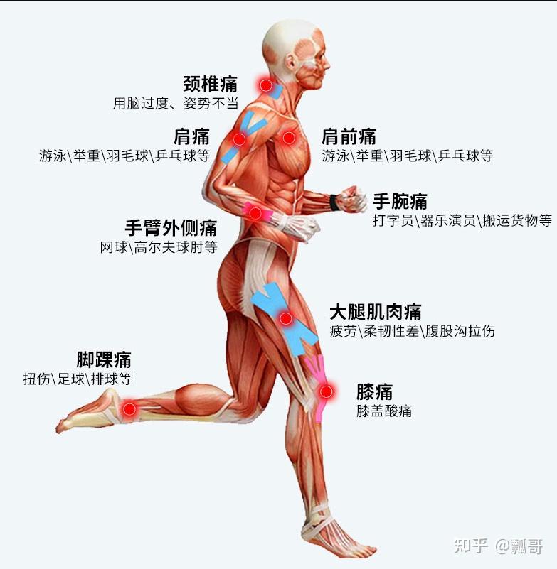 用脑过度会损伤脑细胞吗知乎