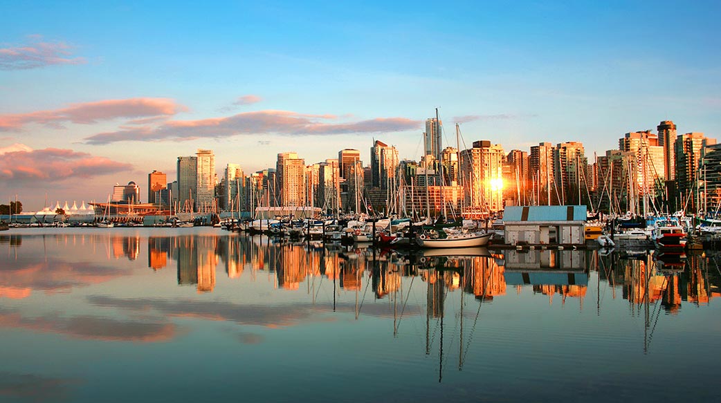 KAIYUN体育平台入口芯片外观图