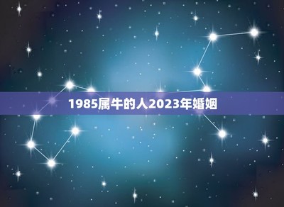 1985年命运