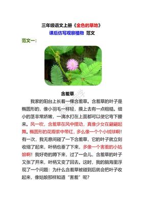 一种植物的秘密作文该怎么写