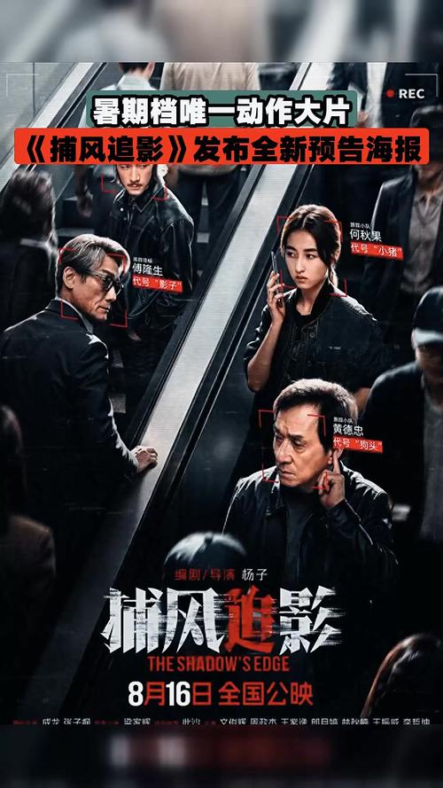 剧照