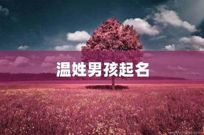 温姓男宝宝起名大全