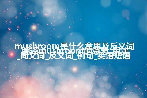 mushroom英音美音区别